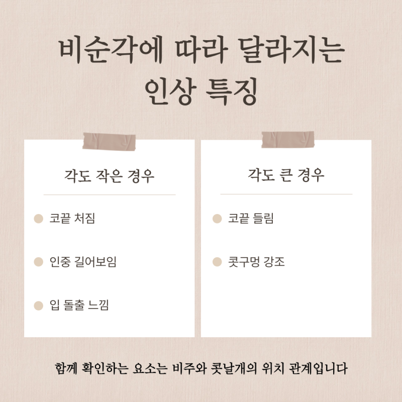 비순각교정, 고양이수술 차이와 필요한 경우 기준 사진 4