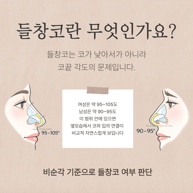 들창코교정, 코끝이 들려 보이는 이유와 자가늑연골 선택 기준