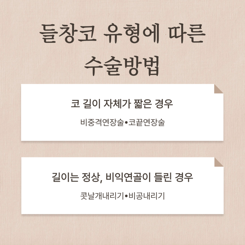 들창코교정, 코끝이 들려 보이는 이유와 자가늑연골 선택 기준 사진 3