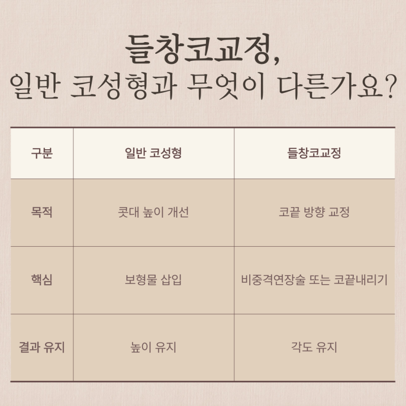 들창코교정, 코끝이 들려 보이는 이유와 자가늑연골 선택 기준 사진 6
