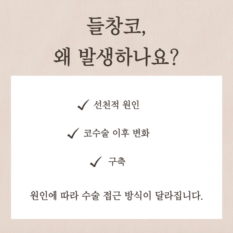 들창코교정, 코끝이 들려 보이는 이유와 자가늑연골 선택 기준 사진 4